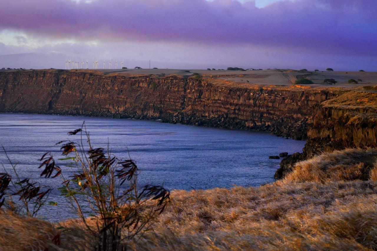 The Aloha Green House Retreat With Ocean Views! Naalehu المظهر الخارجي الصورة