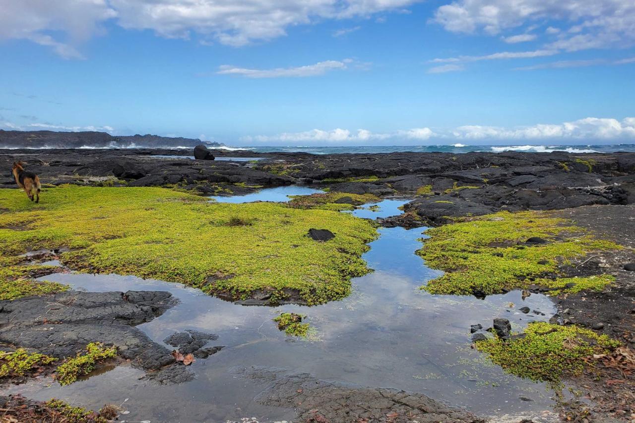 The Aloha Green House Retreat With Ocean Views! Naalehu المظهر الخارجي الصورة