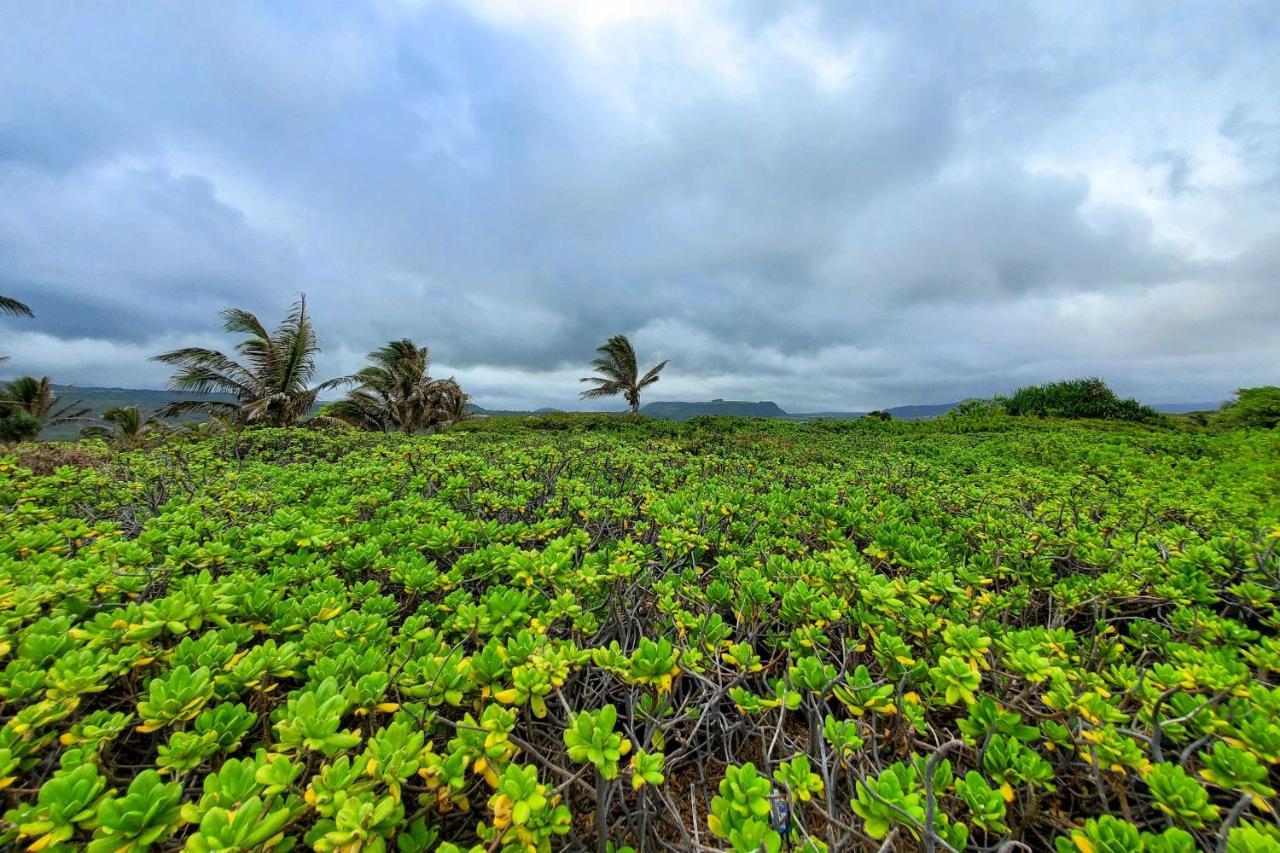 The Aloha Green House Retreat With Ocean Views! Naalehu المظهر الخارجي الصورة